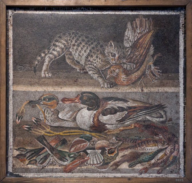 Cat biting a Fowl , Ducks, Birds, Fish and Shellfish mosaic in House of the Faun, Pompeii | Naples National Archaeological Museum (IMG_1665.jpg)