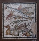 Mosaic with Fish and Ducks in the house of the Grand Duke of Tuscany, Pompeii