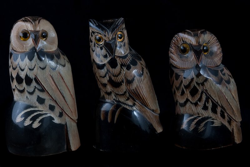 My Owls Collection (IMG_2687_f.jpg)