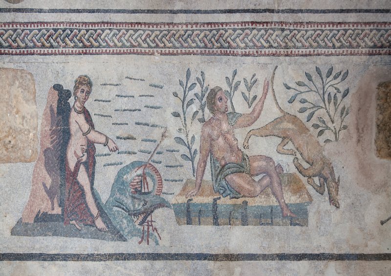 Mosaic floor in Villa Romana del Casale - the Triclinium | Sicily - Villa Romana del Casale (IMG_9164_65.jpg)