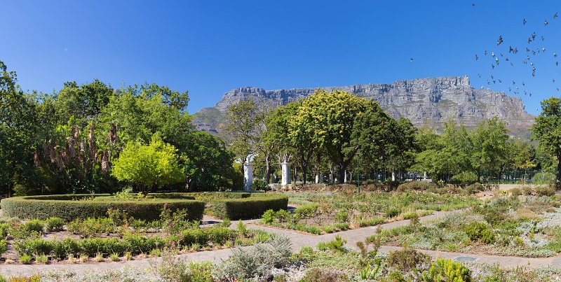 Table Mountain viewed from The Company's Garden | Cape Town - Western Cape, South Africa (IMG_9387to93.jpg)