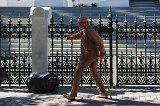 Living Statue in Front of Parliament of Republic of South Africa