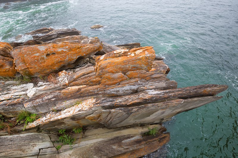 Rock Details, Garden Route National Park, South Africa | Garden Route - South Africa (IMG_8498.jpg)