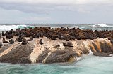Cape Fur Seal Colony, Duiker Island