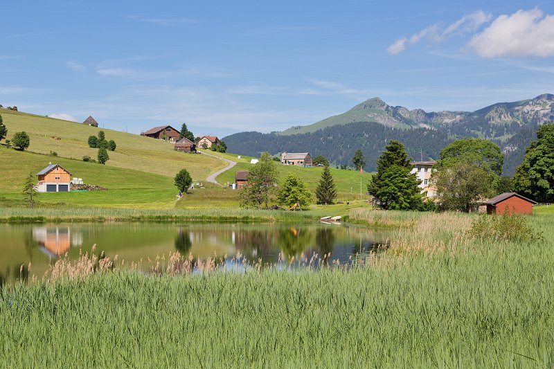Lake Vorderer Schwendisee, Wildhaus, St. Gallen, Switzerland | Switzerland (IMG_4638_b.jpg)