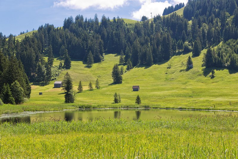Lake Hinterer Schwendisee, Wildhaus, St. Gallen, Switzerland | Switzerland (IMG_4684.jpg)