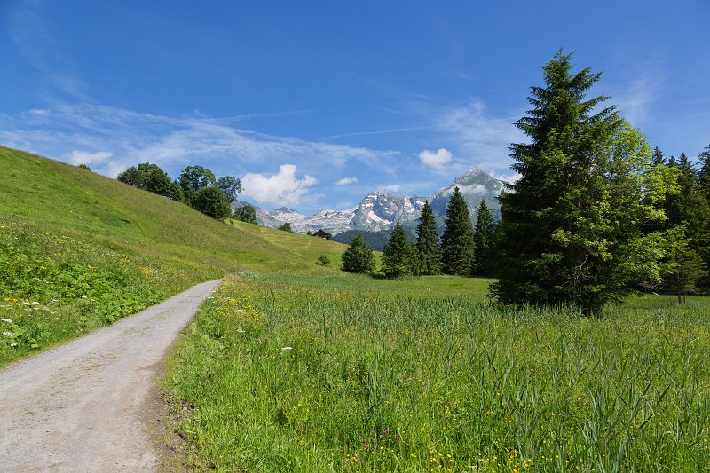 Path near Lake Hinterer Schwendisee, Wildhaus, St. Gallen, Switzerland | Switzerland (IMG_4686.jpg)