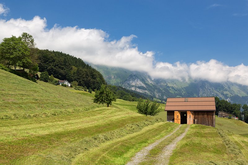 A Barn, Gams, St. Gallen, Switzerland | Switzerland (IMG_4702.jpg)