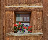 Window and Geraniums, Sparsels , Graubünden, Switzerland