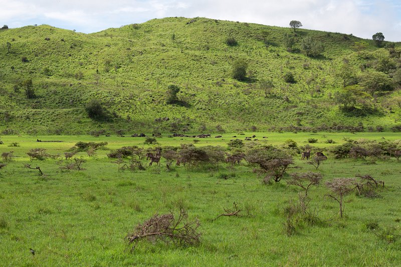 Arusha National Park, Tanzania | Arusha National Park, Tanzania (IMG_1750.jpg)