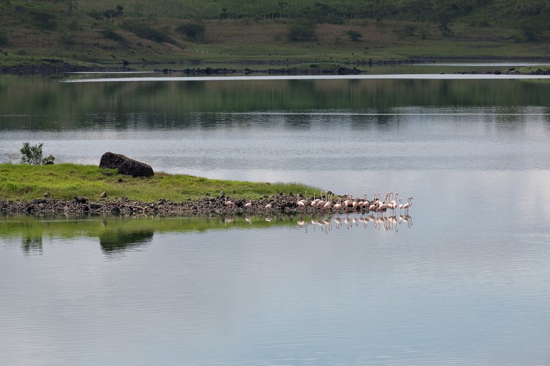 Flamingos in Small Momela Lake, Arusha National Park, Tanzania | Arusha National Park, Tanzania (IMG_1824.jpg)