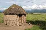 Maasai Traditional Home and Chicken, Manyara Maasai Village, Tanzania