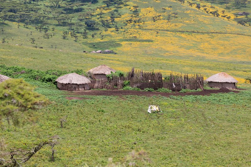 Maasai Village, Ngorongoro Conservation Area, Tanzania | Ngorongoro Crater, Tanzania (IMG_1654.jpg)
