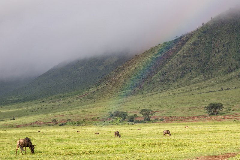 Rainbow over Ngorongoro Crater, Tanzania | Ngorongoro Crater, Tanzania (IMG_8944.jpg)