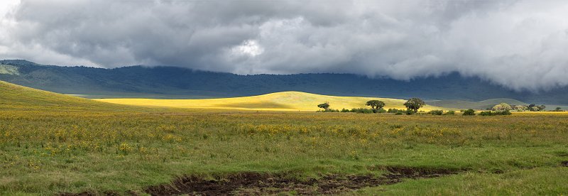 Ngorongoro Crater, Tanzania | Ngorongoro Crater, Tanzania (IMG_9581_82_83_84_85.jpg)