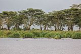 Hippo Pool, Ngorongoro Crater, Tanzania