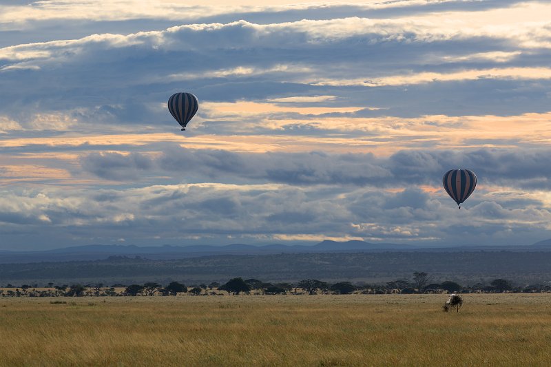 Hot-Air Balloons over Central Serengeti, Tanzania | Serengeti National Park, Tanzania (IMG_0298_3.jpg)