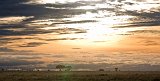 Sunrise over Central Serengeti, Tanzania