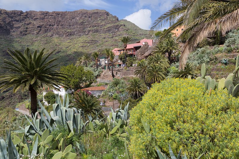 Masca Village, Tenerife | Tenerife II (Teide national park, Taganana, Icod de los Vinos, Masca and Garachico) (IMG_2582.jpg)