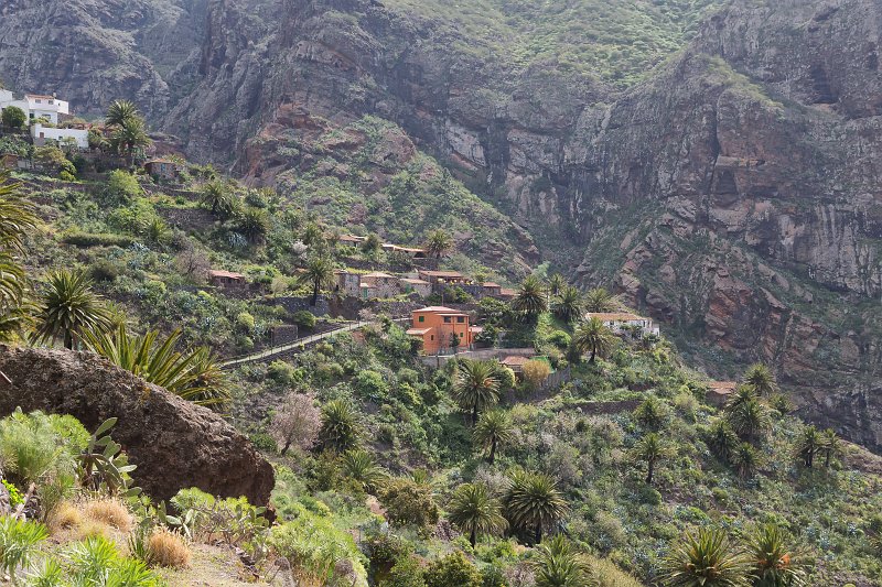 Masca Village, Tenerife | Tenerife II (Teide national park, Taganana, Icod de los Vinos, Masca and Garachico) (IMG_2599.jpg)