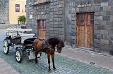 Horse and Carriage, Garachico, Tenerife