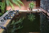 Turtles and Pool, Garachico, Tenerife