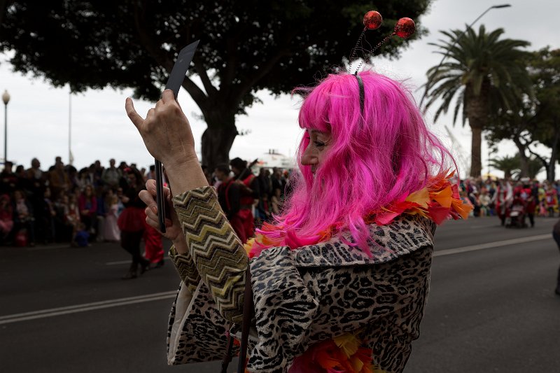 Carnival 2015 of Santa Cruz de Tenerife (IMG_1396.jpg)