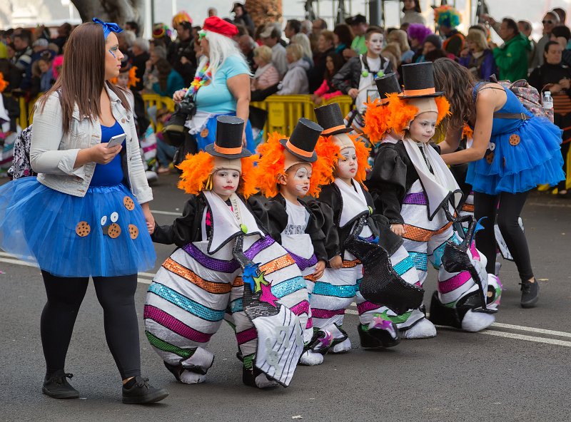 Carnival 2015 of Santa Cruz de Tenerife (IMG_1787.jpg)