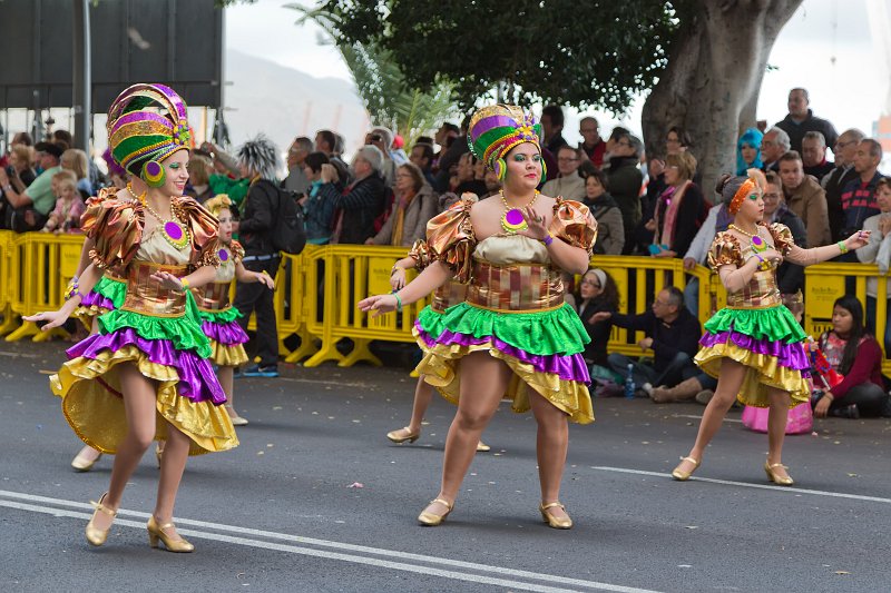 Carnival 2015 of Santa Cruz de Tenerife (IMG_1836.jpg)