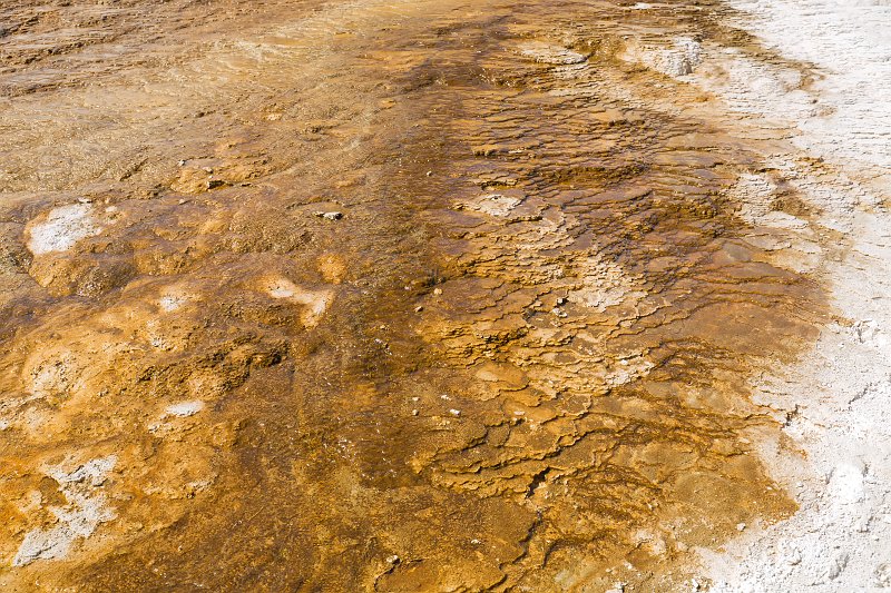 Details of Palette Spring, Mammoth Hot Springs, Yellowstone National Park, Wyoming, USA | Yellowstone National Park - Wyoming, USA (IMG_5301.jpg)