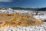 Canary Spring, Mammoth Hot Springs, Yellowstone National Park, Wyoming, USA