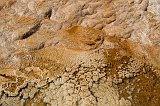Details of Minerva Terrace, Mammoth Hot Springs, Yellowstone National Park, Wyoming, USA
