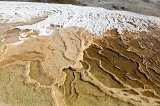 Details of Minerva Terrace, Mammoth Hot Springs, Yellowstone National Park, Wyoming, USA
