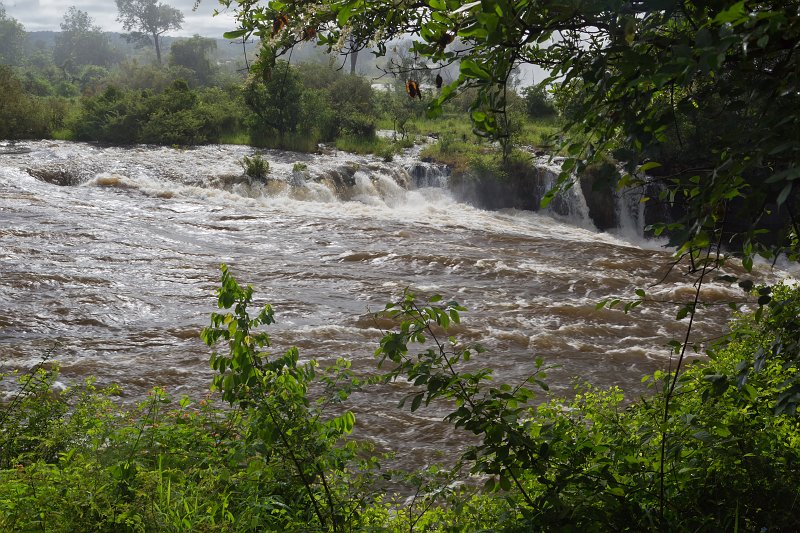 Zambezi River, Victoria Falls, Zimbabwe | Victoria Falls - Zimbabwe (IMG_1146.jpg)