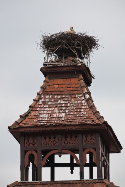 A Stork's nest in Sovata (Mureş county) | Romanian Countryside (CO33-IMG_8285.jpg)
