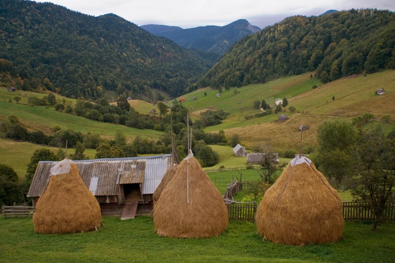 Sheepfold on Bran-Rucar Road (Braşov county) | Romanian Countryside (CO41-IMG_1952_3.jpg)