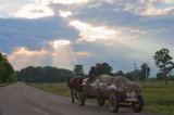 Horse-drawn cart at the end of a long day