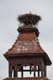 A Stork's nest in Sovata (Mureş county)