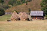 Barn and Haystacks in Neamţ county
