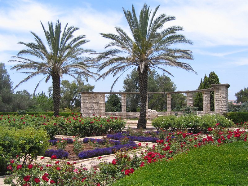 Rose Garden, Ramat Hanadiv Memorial Gardens | Israel (IS41-IMG_3459_f2.jpg)
