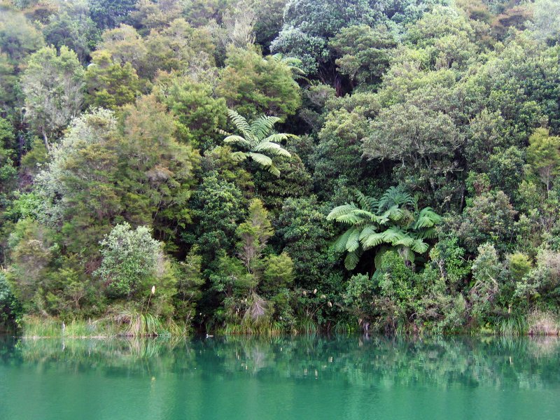 Lake Rotomahana, New Zealand | Scenery and Nature (SC16-IMG_0032_f2.jpg)