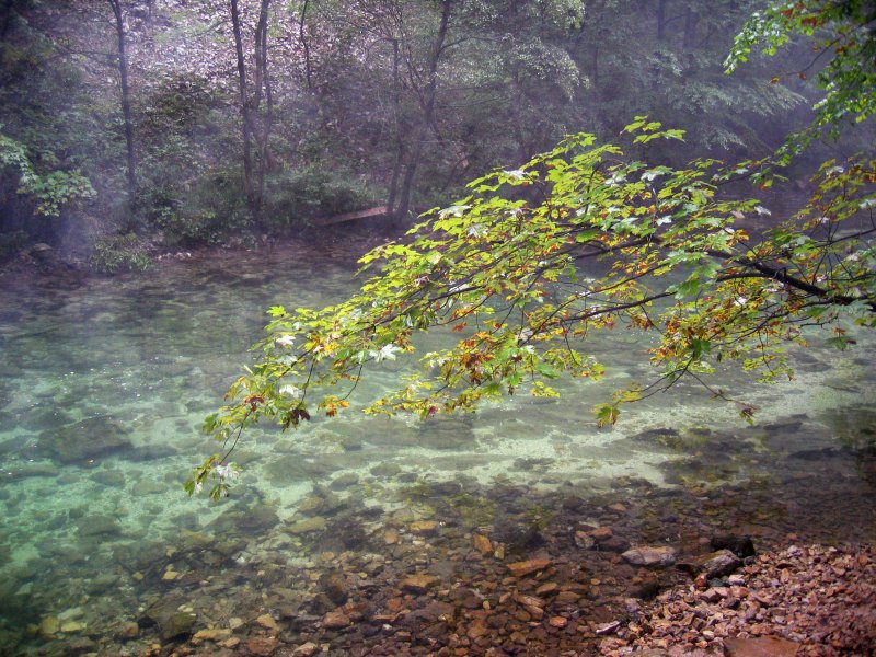 Vintgar gorge, Slovenia | Scenery and Nature (SC18-IMG_6699_f.jpg)
