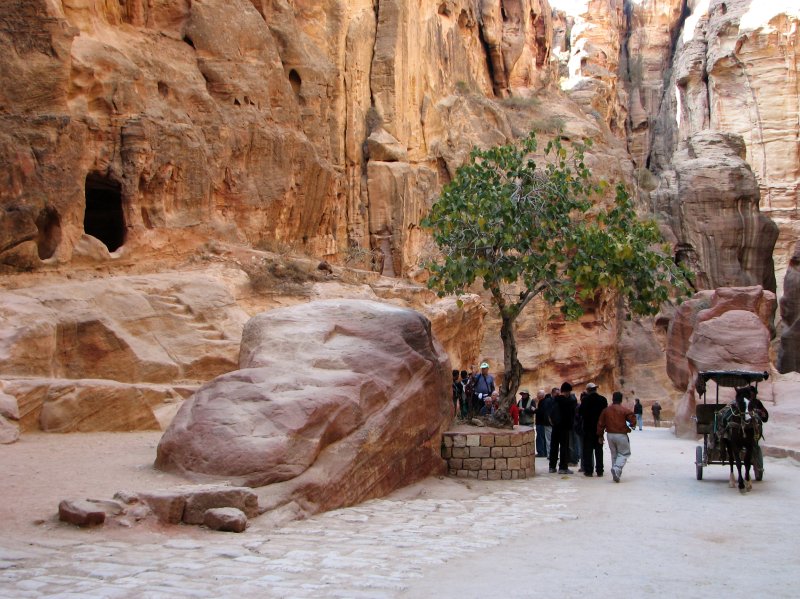 Petra, Jordan | Scenery and Nature (SC40-IMG_6663_f.jpg)