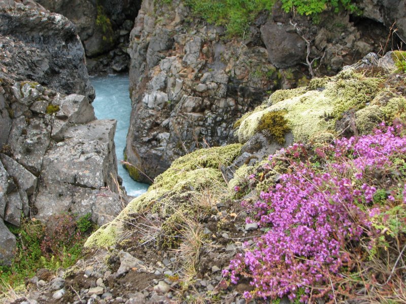 Barnafoss (The Children's Waterfall), Iceland | Scenery and Nature (SC45-IMG_1089.JPG)