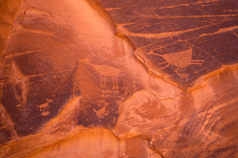 Petroglyphs of Animals, Eye Of the Sky Arch, Monument Valley Navajo Tribal Park, Arizona, USA | Monument Valley Navajo Tribal Park - Arizona, USA (IMG_7143.jpg)