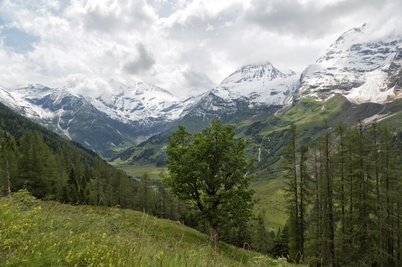 View from Grossglockner High Alpine Road, Hohe Tauern National Park, Austria | Austrian Scenery (IMG_1676.jpg)