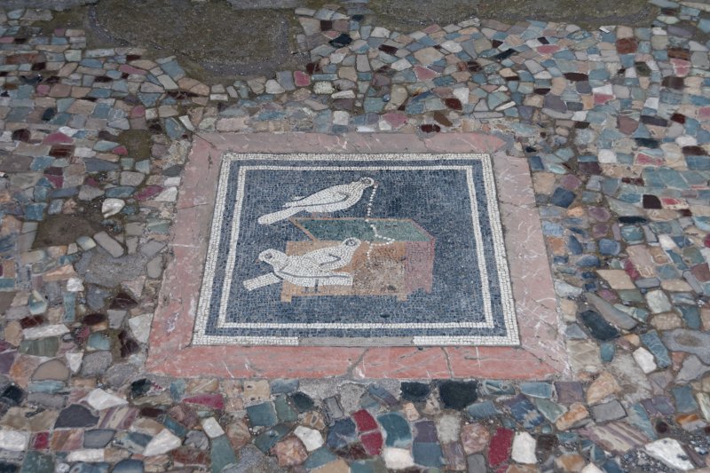 Mosaic floor at the left of the atrium in House of the Faun, Pompeii | Pompeii - The Roman Time Capsule (IMG_1982.jpg)