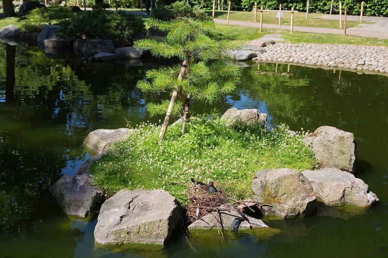 Kyoto Garden, Holland Park | London - Part III (IMG_1837.jpg)