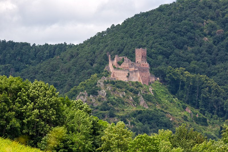 Saint-Ulrich Castle, Ribeauvillé, Alsace, France | Alsace and Lorraine, France (IMG_3781.jpg)