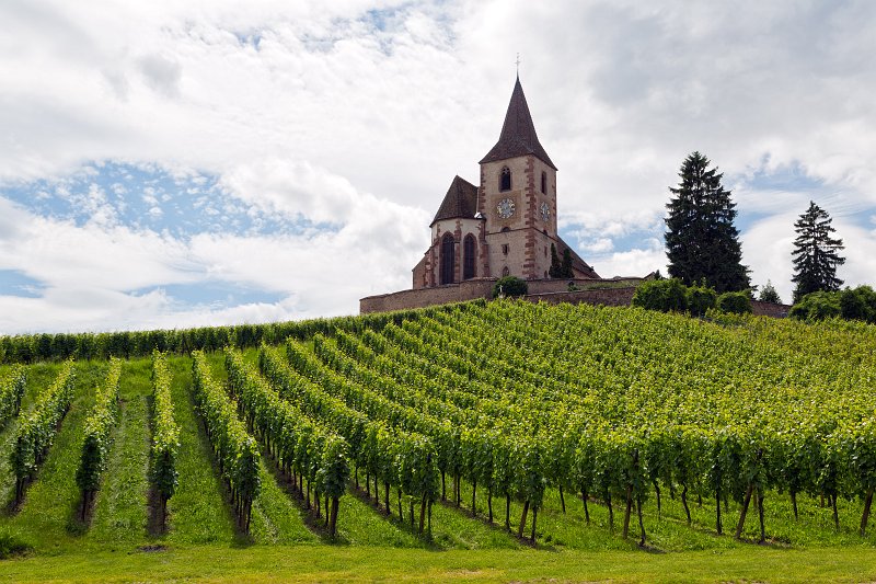 Saint-Jacques-le-Majeur Church and Vineyards, Hunawihr, Alsace, France | Alsace and Lorraine, France (IMG_3839.jpg)